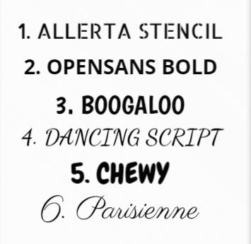 Pet Portrait Font Styles 